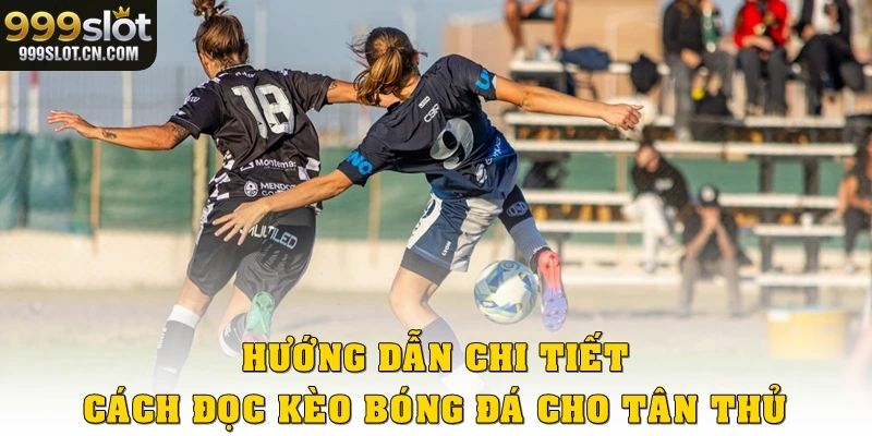Hướng dẫn chi tiết cách đọc kèo bóng đá cho tân binh